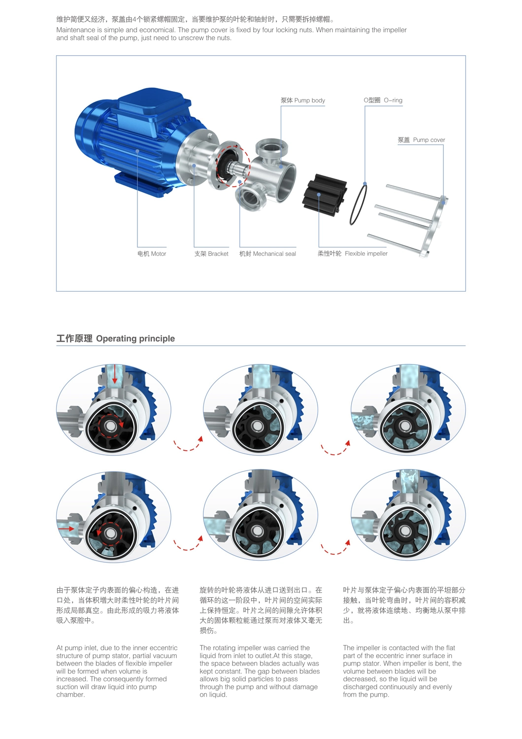 Donjoy Hygienic Flexible Impeller Pump Manufacturer in China